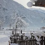Zum Hirschen Отель 3*