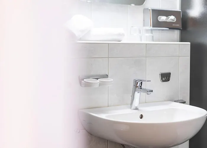 Zum Hirschen ホテル 3*