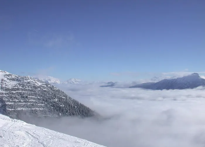 ホテル Zum Hirschen