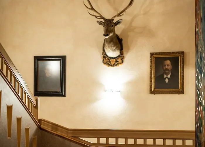 Zum Hirschen Hotel 3*