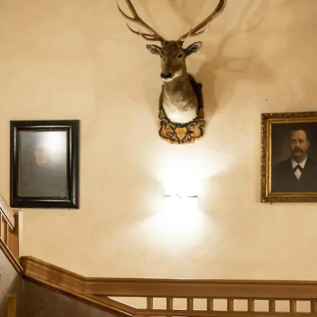 Zum Hirschen Hotel 3*